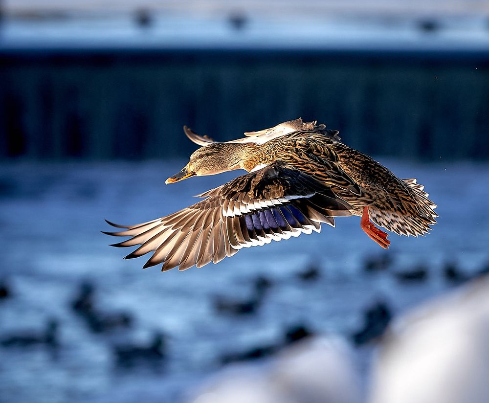 Photograph by Андрей Некрашевич