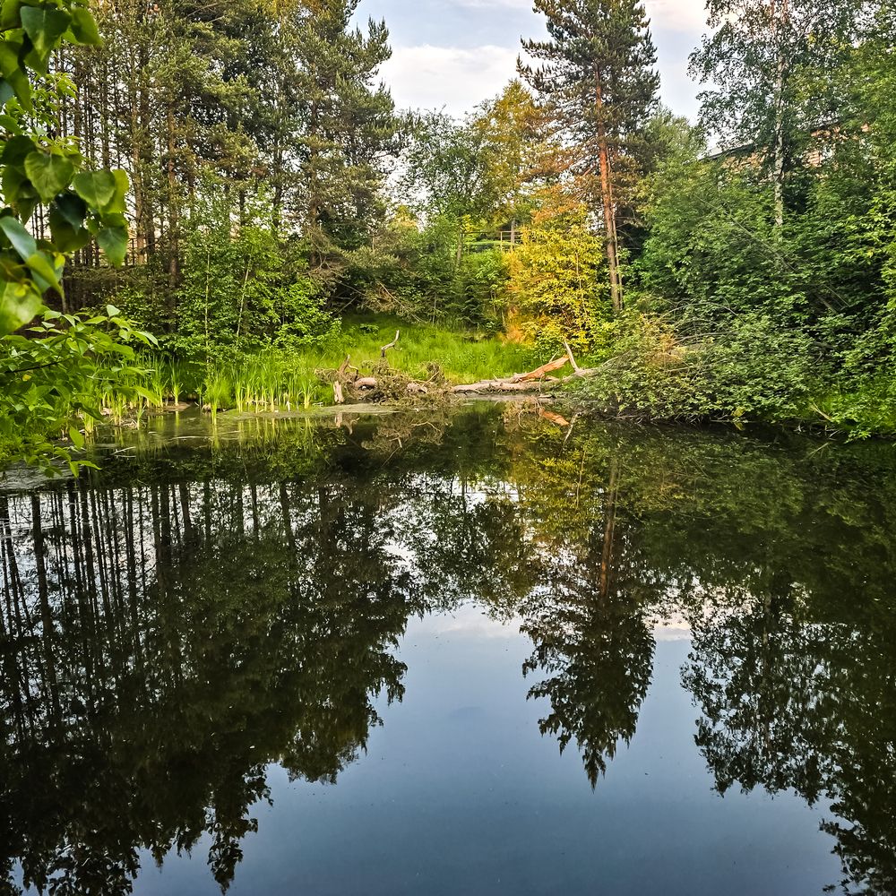 Фотография автора Нина Зинченко