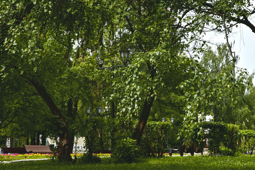 Photograph by Ruslan Sevastyanov
