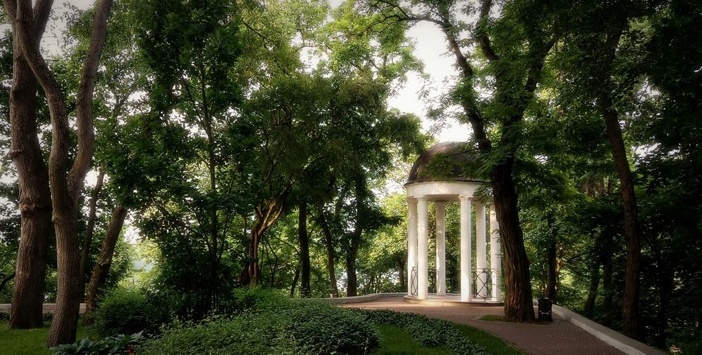 Photograph by Mishel Photographer