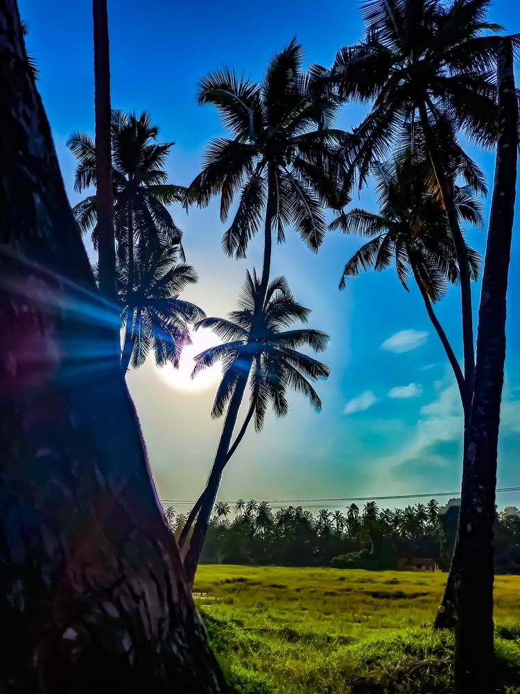 A sunny day in rainy season.