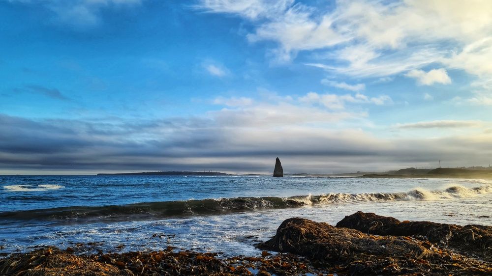 Photograph by Оксана Новикова