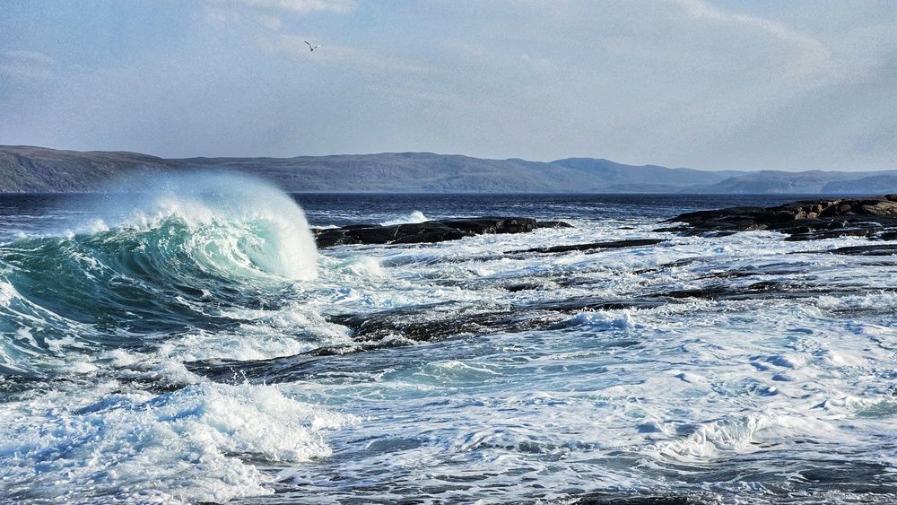 Photograph by Оксана Новикова