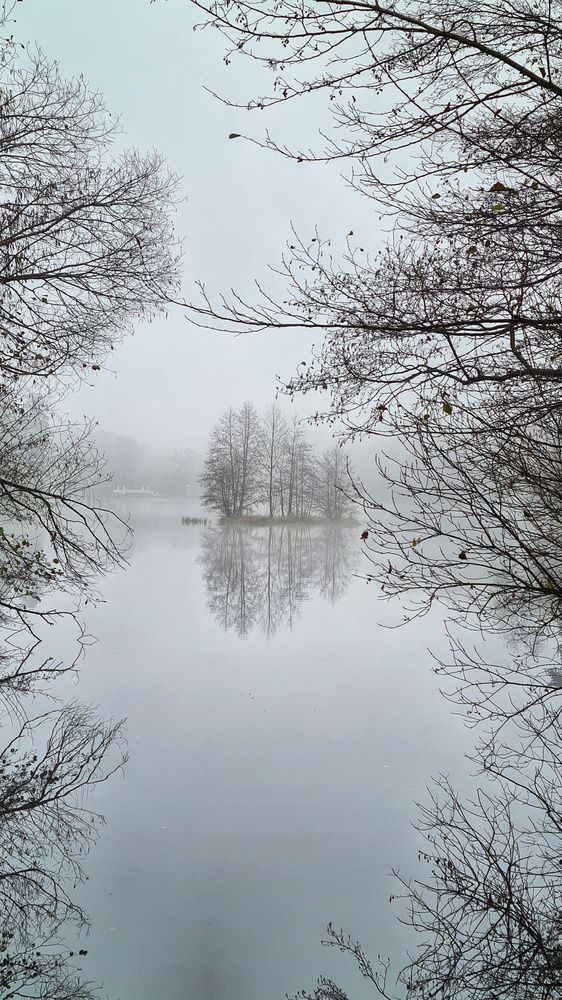 Photograph by Оксана Новикова