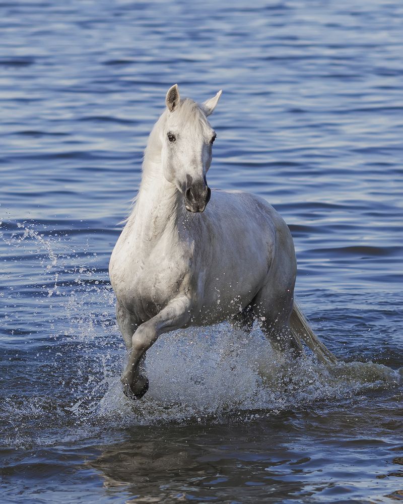Фотография автора Helena