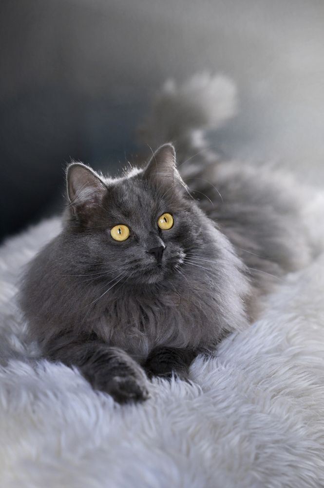 Photograph by Наталия Моргунова