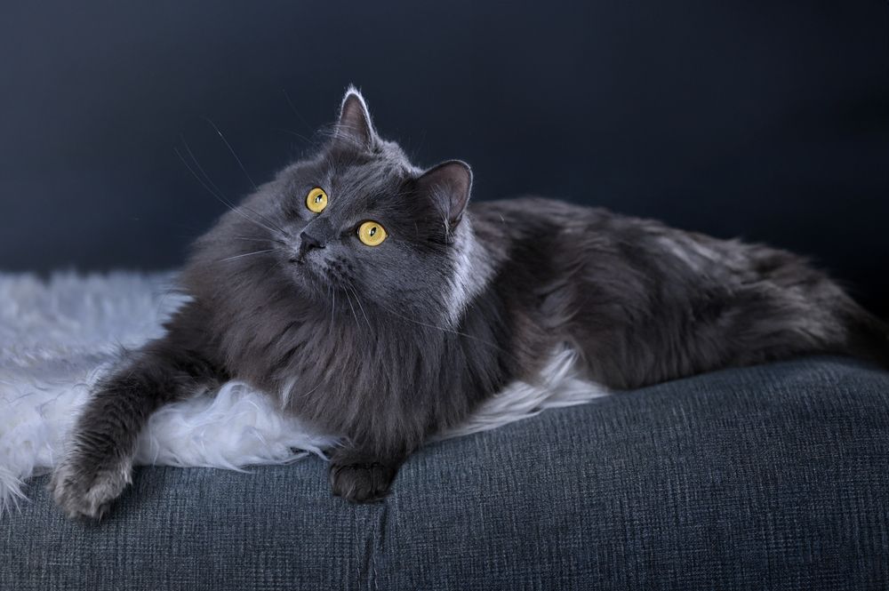 Photograph by Наталия Моргунова