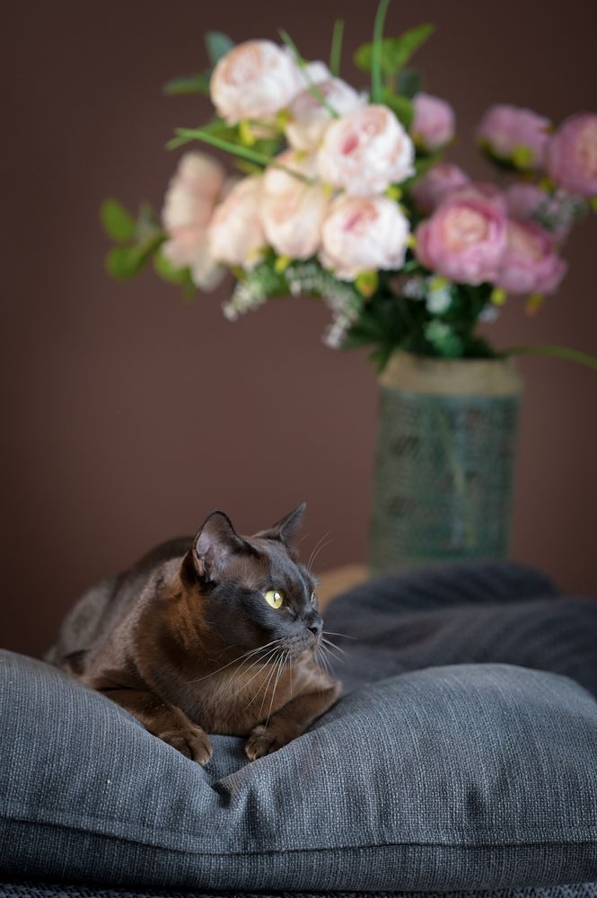 Photograph by Наталия Моргунова