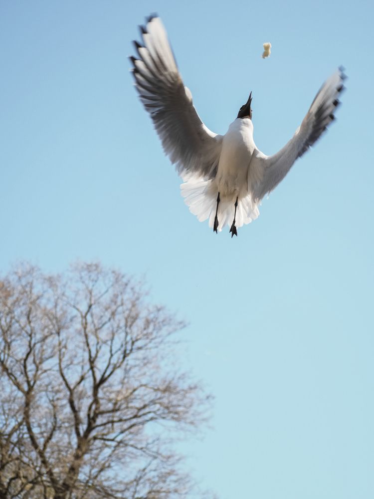 Photograph by Екатерина Ромадановская