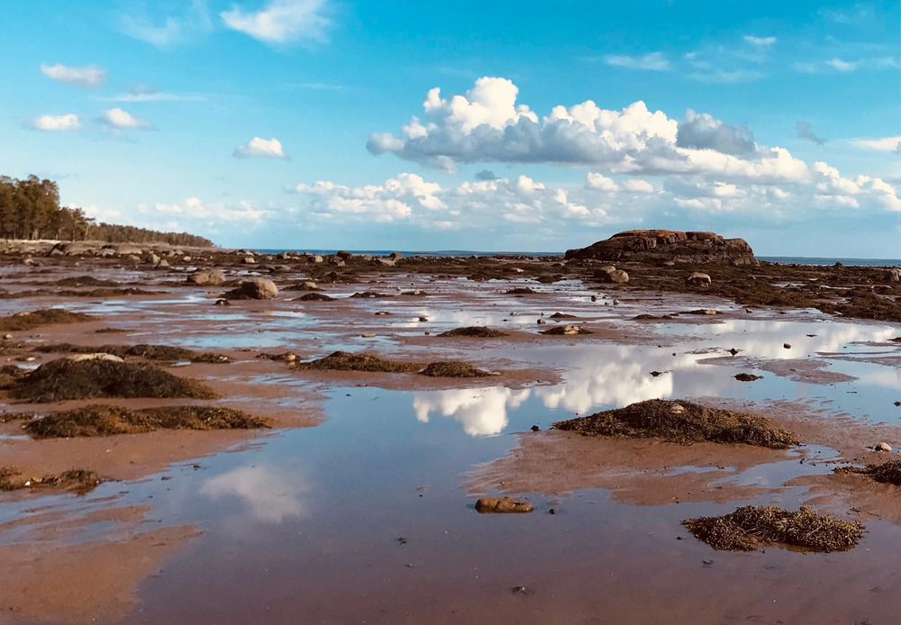 Photograph by Наталья Тарабычина