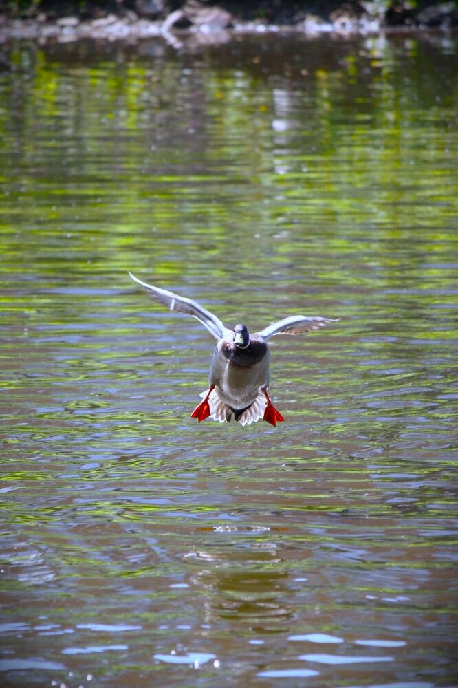 Photograph by Михаил Некрасов