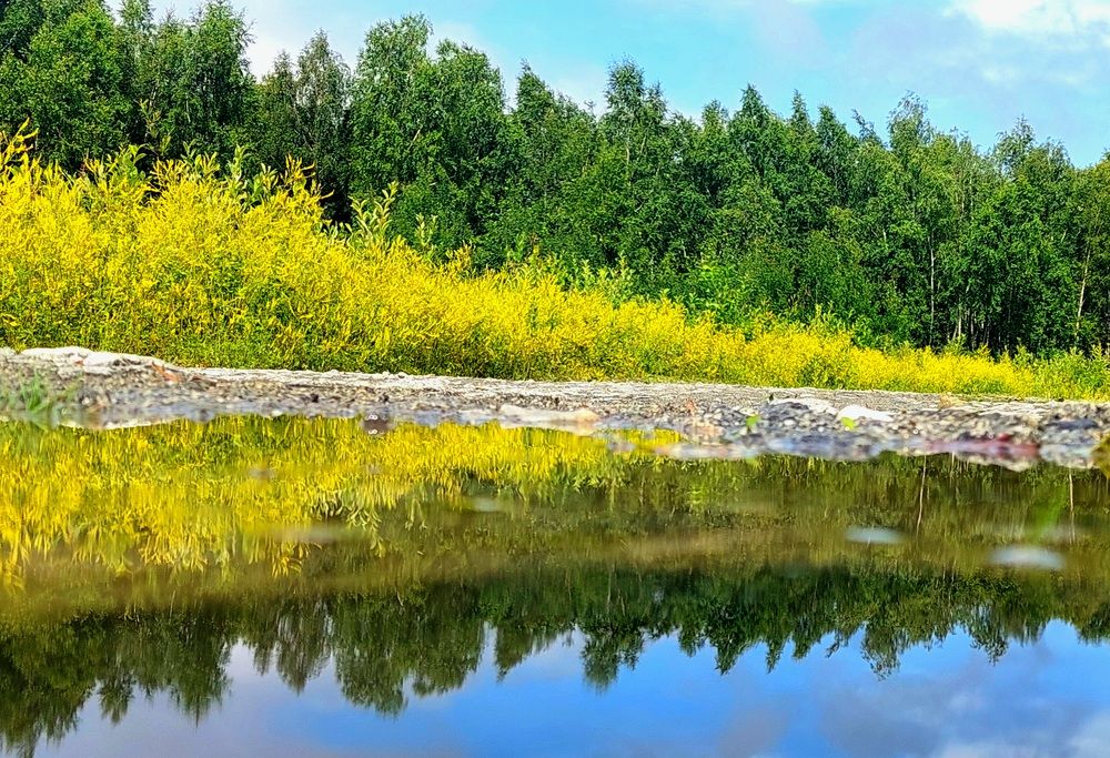 Фотография автора Анастасия Куликова