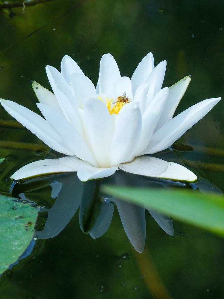 Photograph by Ирина Дегтярева