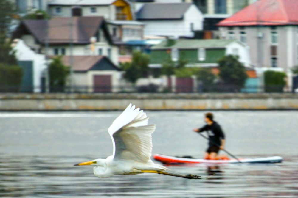 Photograph by Затямин Александр