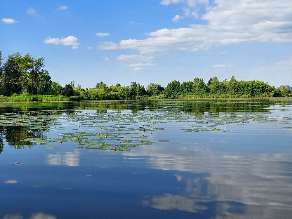 Фотография автора Анастасия Куликова