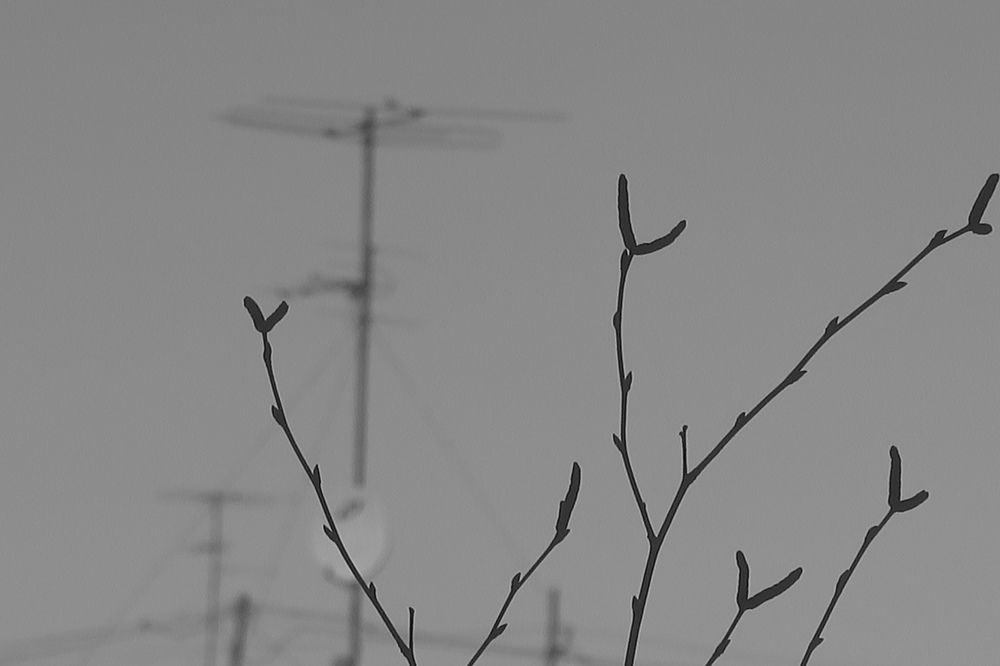 Photograph by Орл Про