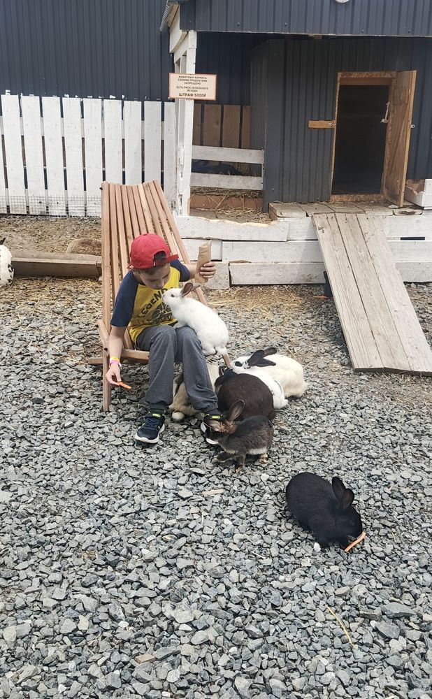 Photograph by Ольга Петрова