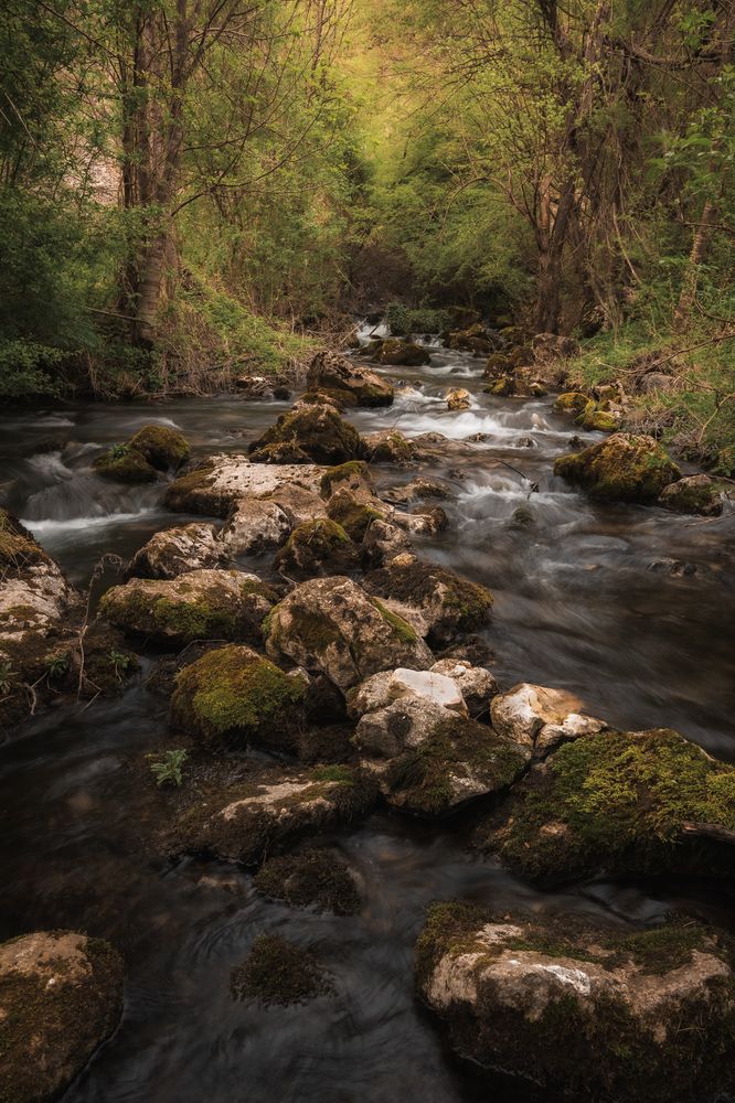 Photograph by Roman Vislobokov