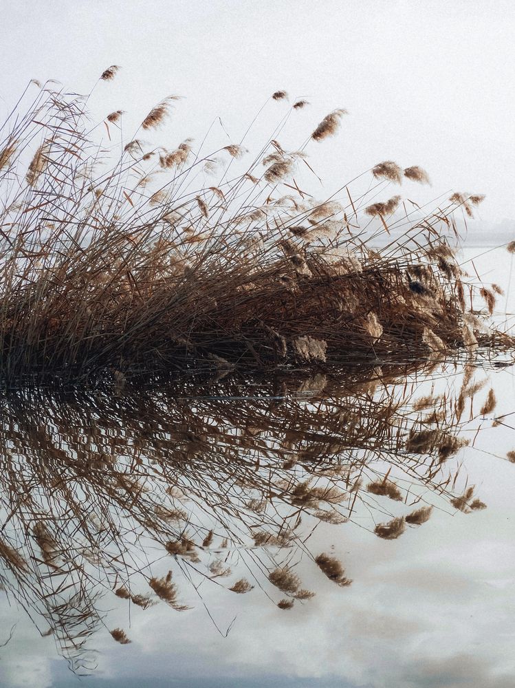 Photograph by Екатерина Ромадановская