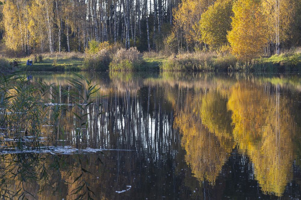 Фотография автора Анатолий Фомин