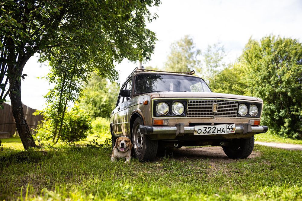 Photograph by Георгий Юркин