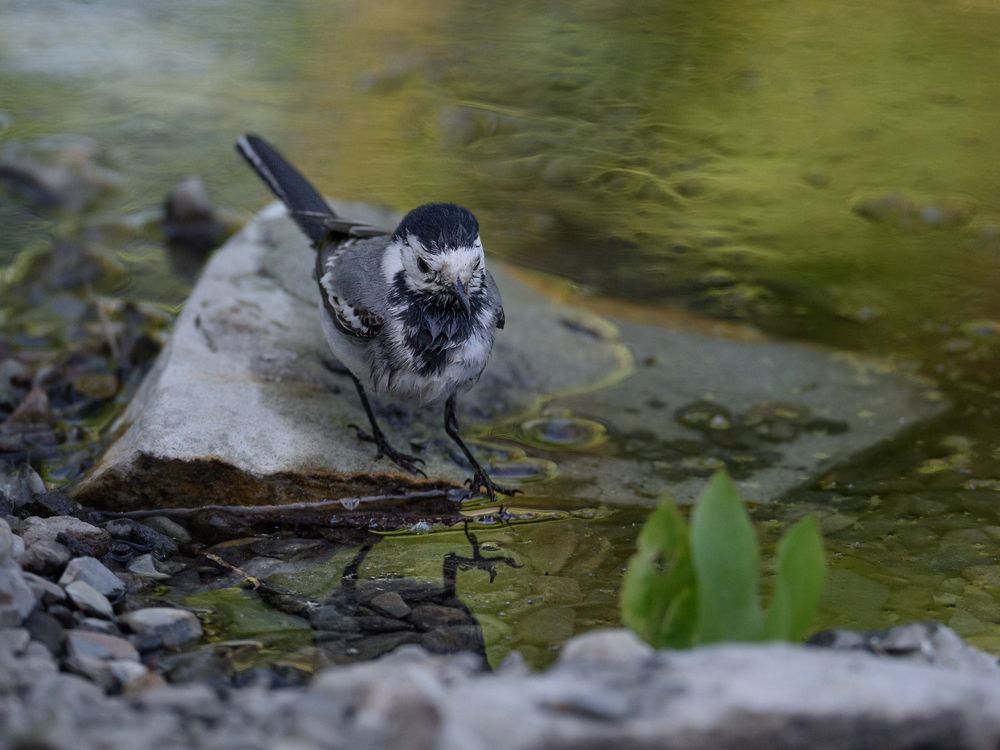 Photograph by Галина Суровицкая