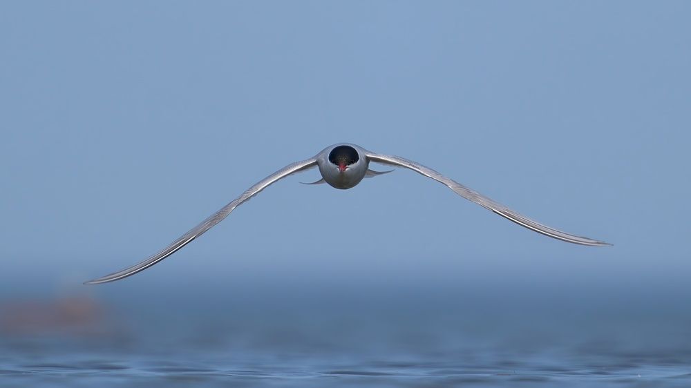 Photograph by Valery Zmachynski