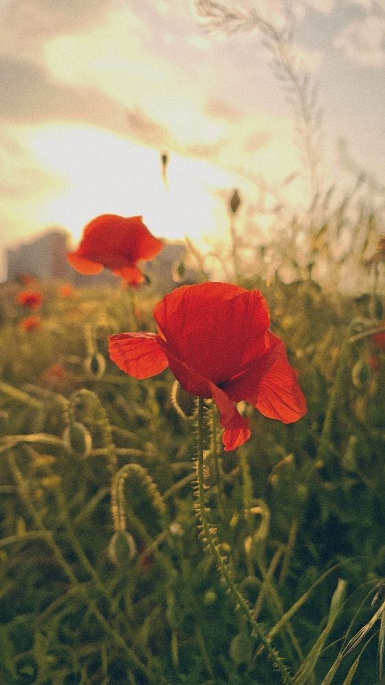 Photograph by Виктория Новикова