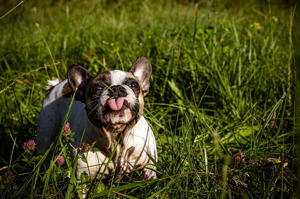 Photograph by Victoria Mogulyan