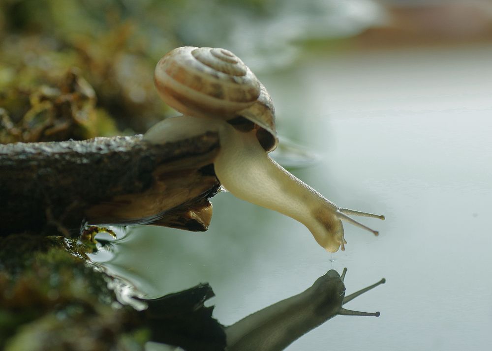 Photograph by Savas Sener