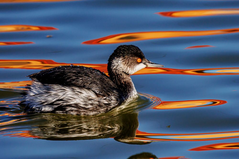 Photograph by Волынский Виктор