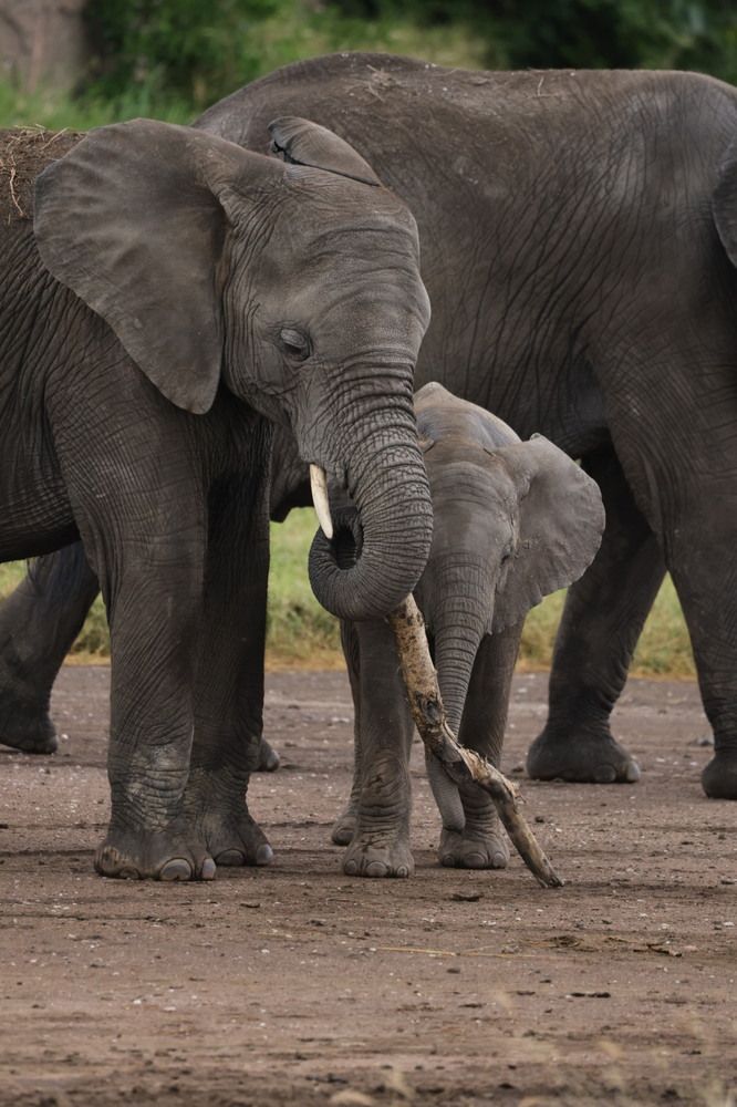 Photograph by Одаренко Ольга