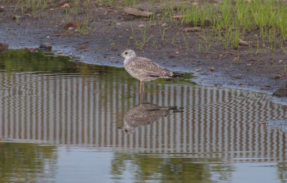 Photograph by Анастасия Обухова