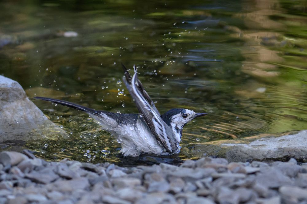 Photograph by Галина Суровицкая