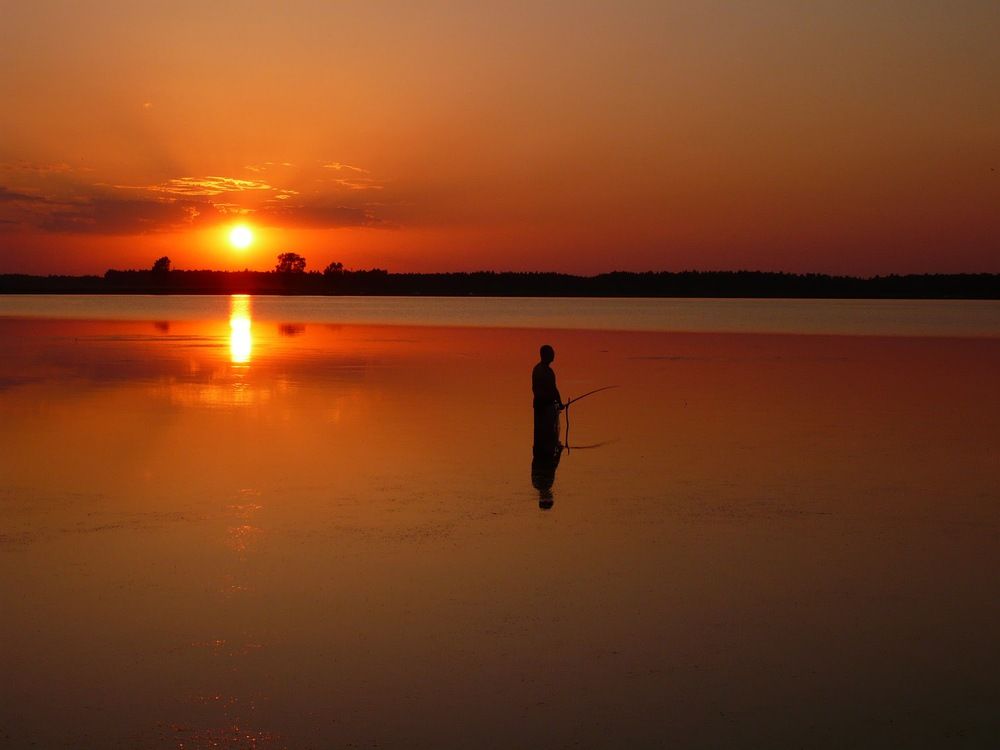 Фотография автора Александр Николаев