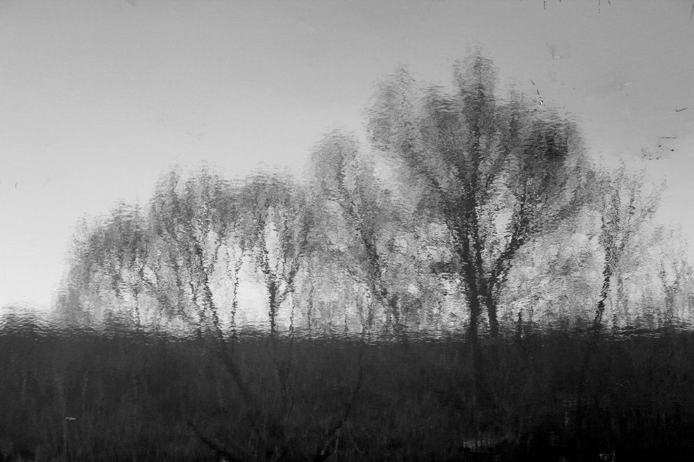 Photograph by Наталья Волкова