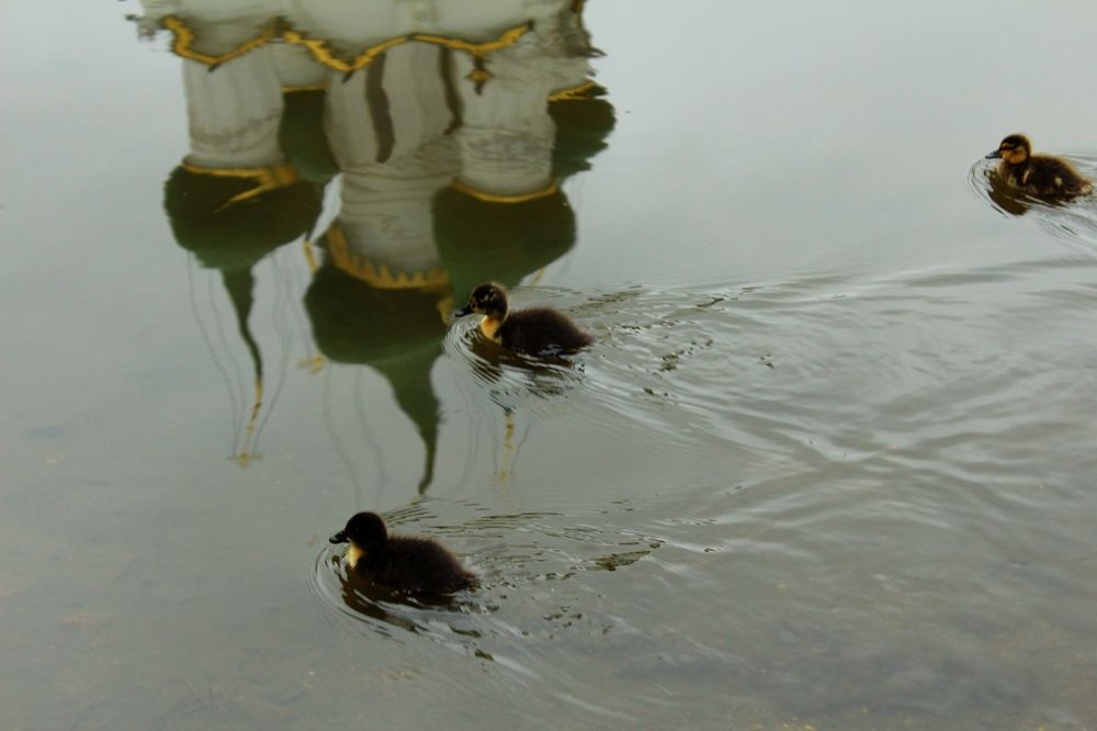 Photograph by Наталья Волкова