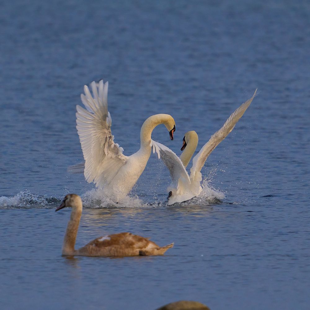 Photograph by Валерий Змачинский
