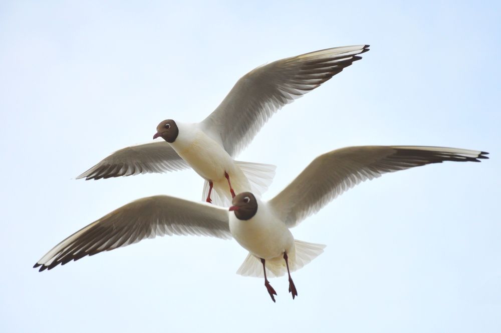 Photograph by Анна Зорька