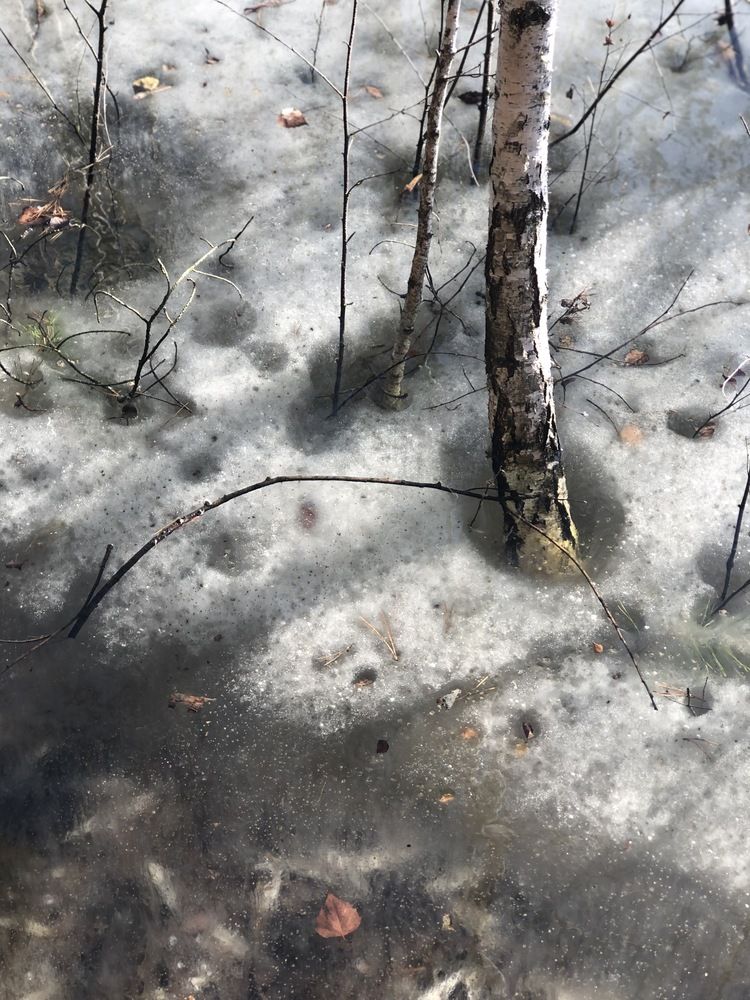 Photograph by Светлана