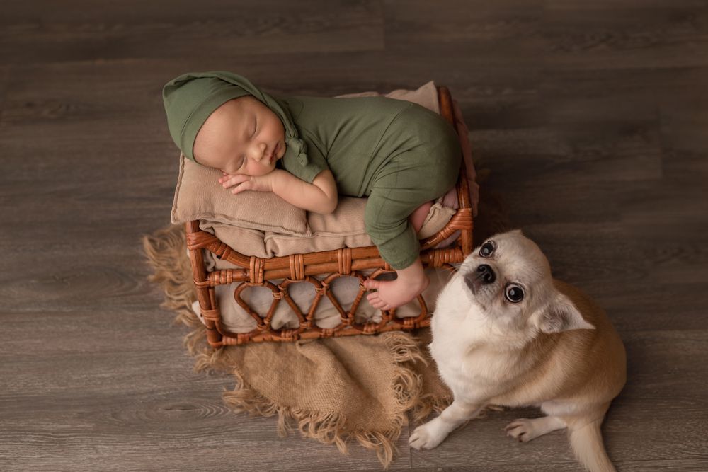 Photograph by Анастасия Гонова