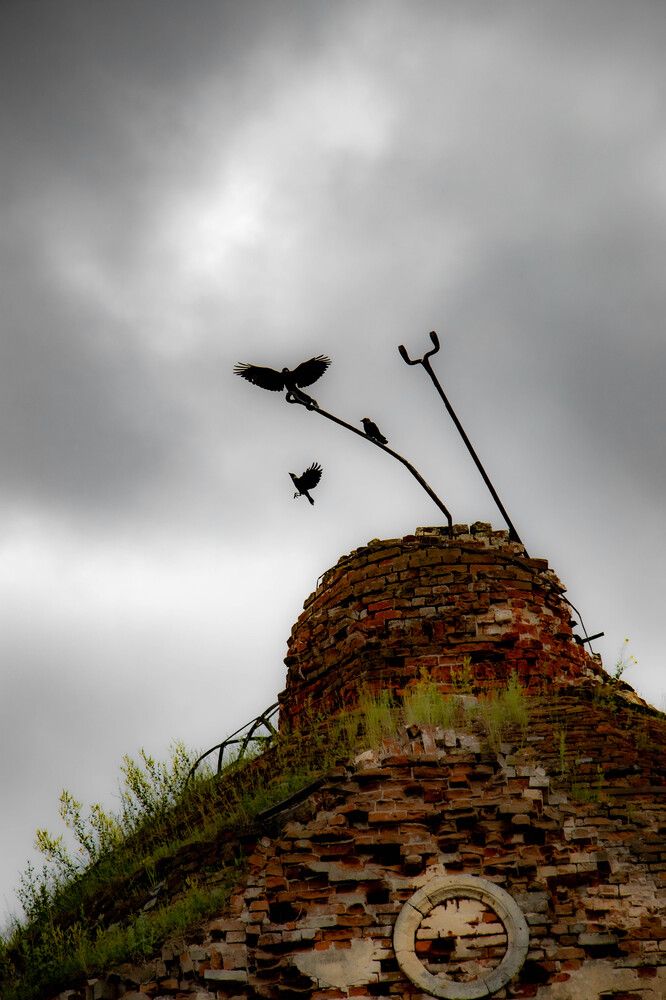 Photograph by Ксения Щукина