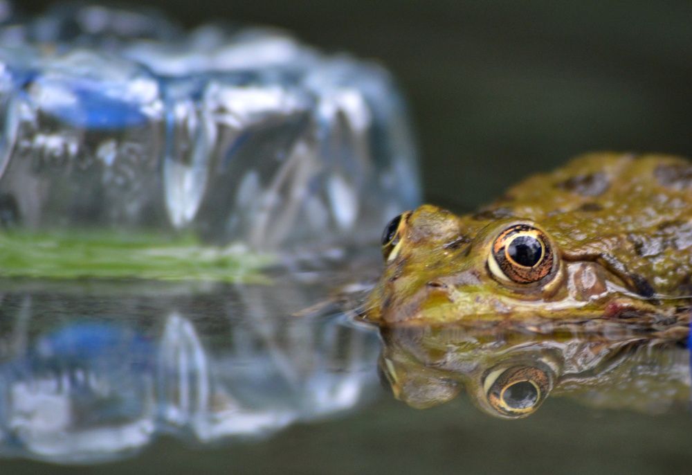 Photograph by Olja Simovic