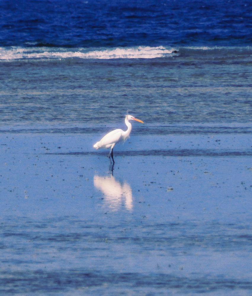 Photograph by Юлия Гусарова