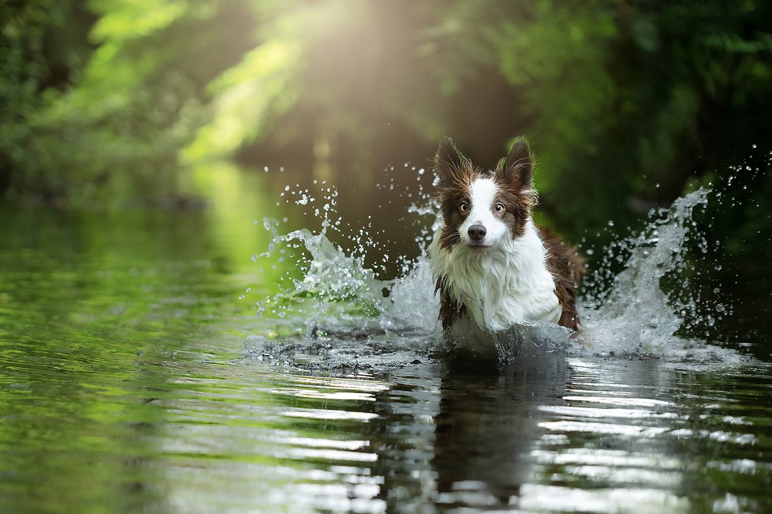 Фотография #12330669