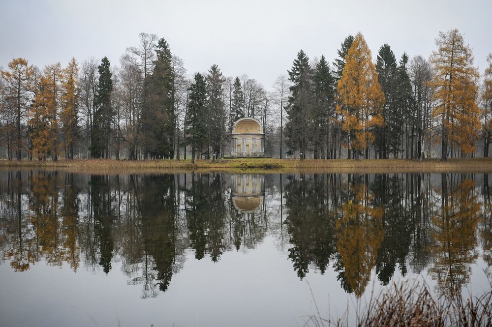 Фотография автора Альбина Хальяк