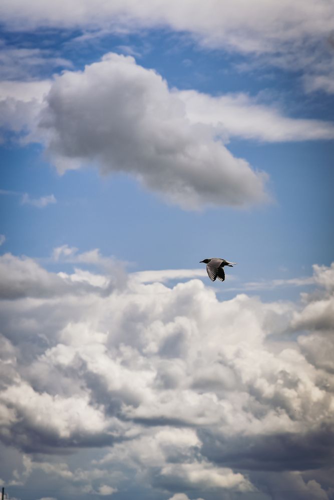 Photograph by Елена Сиушова