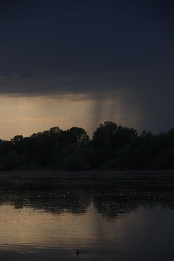 Фотография автора Лилия Хохлова
