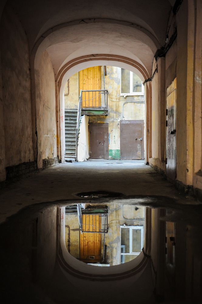 Фотография автора Альбина Хальяк