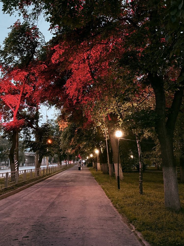 Photograph by Оврас Елена